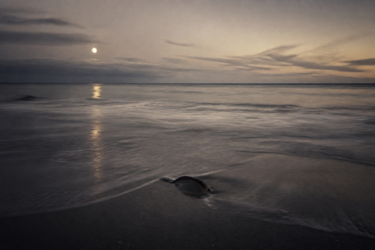 Meditation: Serenity Tide